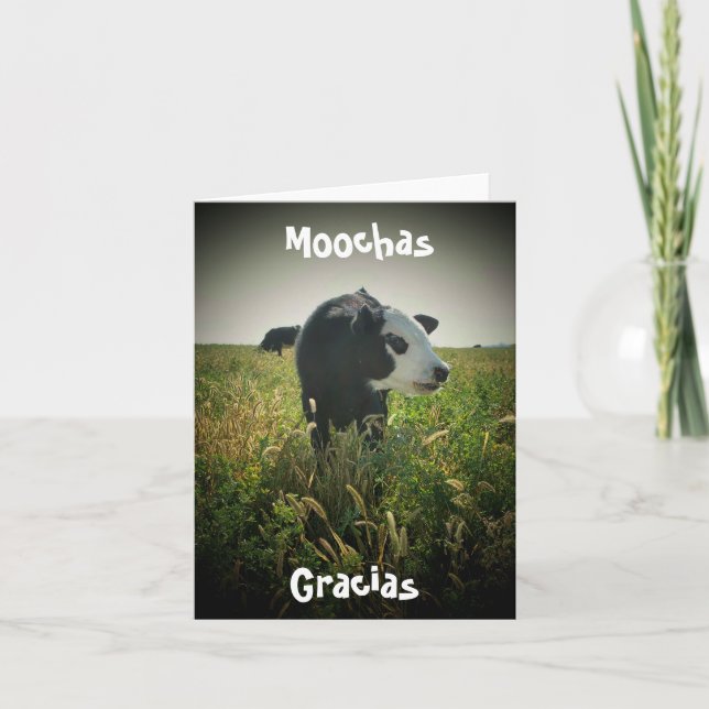 Moochas Gracias Thank You Card (Front)