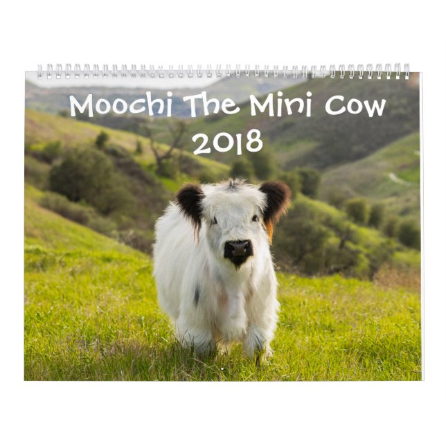 Moochi The Mini Cow 2018 Calendar (Cover)