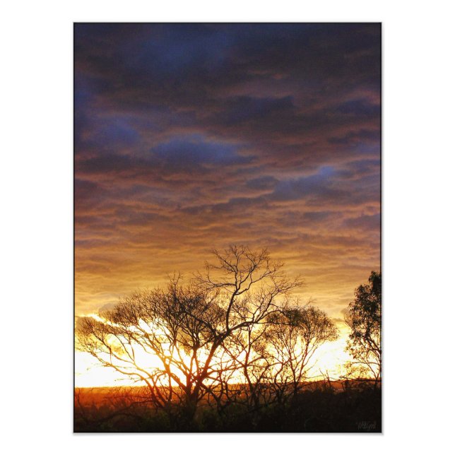 Moodscapes : Living Art Photo (Front)