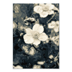 Moody Anemone Flower Botanical Art Photo Print