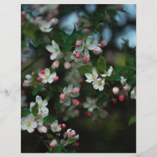 Moody apple tree blooms Scrapbook Paper (light)