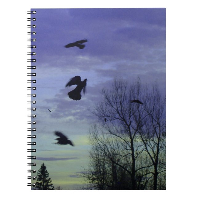 Moody Blue Crows Sky Notebook (Front)