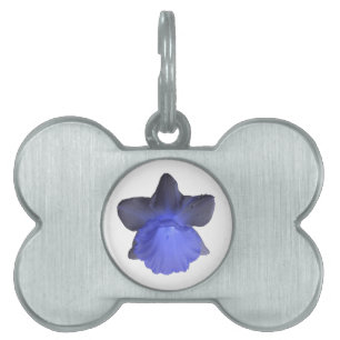 Moody Blue Dripping Daffodil Pet Tag