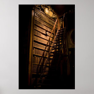 Moody Books Mirrored Poster