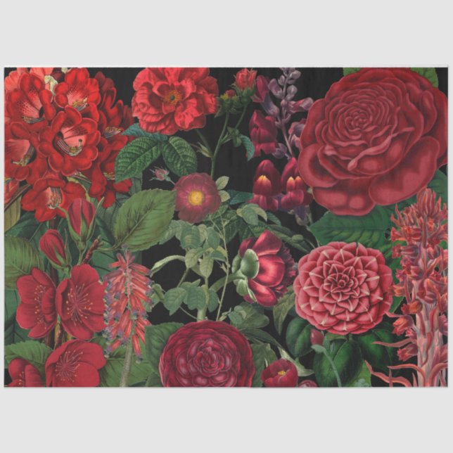 Moody Florals Black & Burgundy Vintage  Tissue Paper (Front)