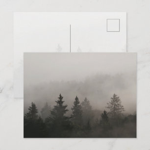 Moody Foggy Forest Postcard