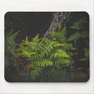 Moody green nature theme with ferns mouse mat