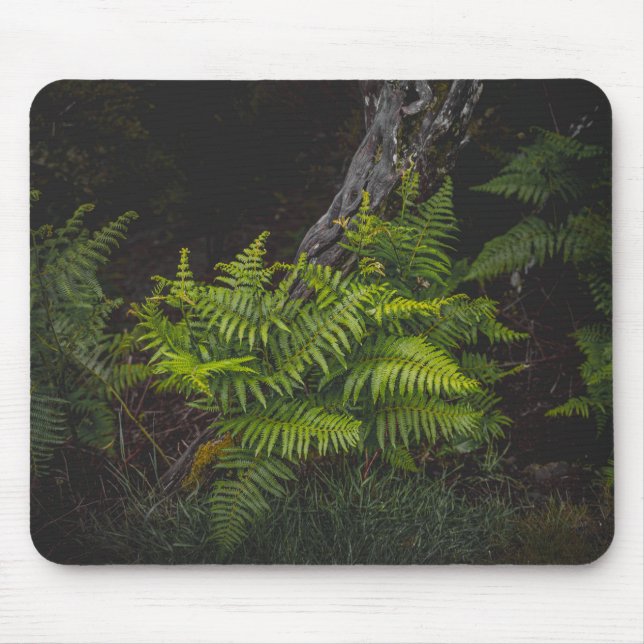Moody green nature theme with ferns mouse mat (Front)