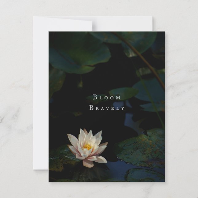 Moody Lily Pad Pond Nature Greeting Card (Front)