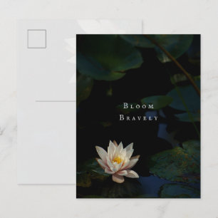 Moody Lily Pad Pond Nature Postcard