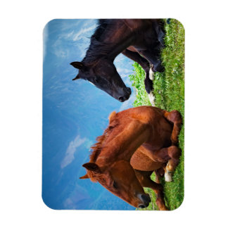 Moody Mountain Horses: A Fine Art  Magnet