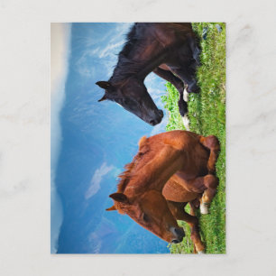 Moody Mountain Horses: A Fine Art Travel Postcard