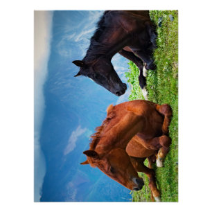 Moody Mountain Horses: A Fine Art Travel  Poster