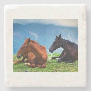Moody Mountain Horses: A Fine Art Travel Stone Coaster