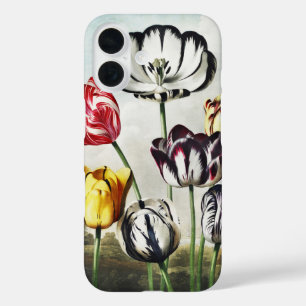 Moody Regency Style Multi-Colour Tulips iPhone 16 Case