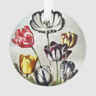 Moody Regency Style Multi-Colour Tulips Ornament