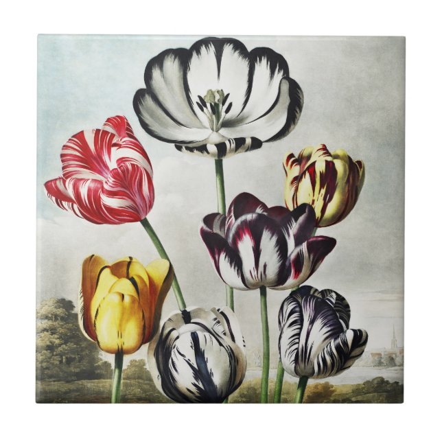 Moody Regency Style Multi-Colour Tulips Tile (Front)