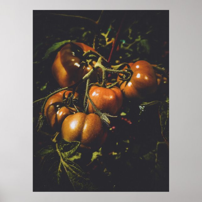Moody Rustic Tomatoes Vintage Farmhouse Kitchen Poster (Front)