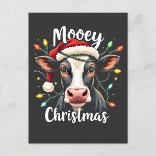 Mooey Christmas Funny Xmas Cow Cattle Lovers  Postcard