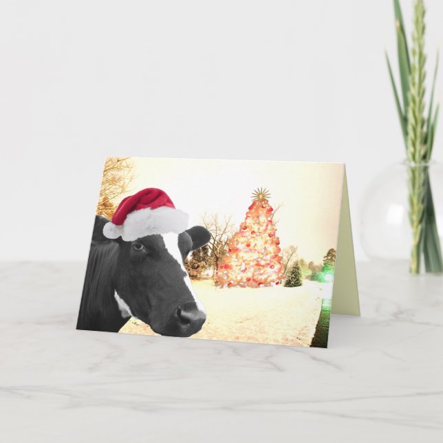 Mooey Christmas Winter Cow In Santa Hat Holiday Card (Front)