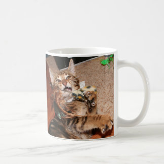 Mooki "i can haz caffeenz?" mug