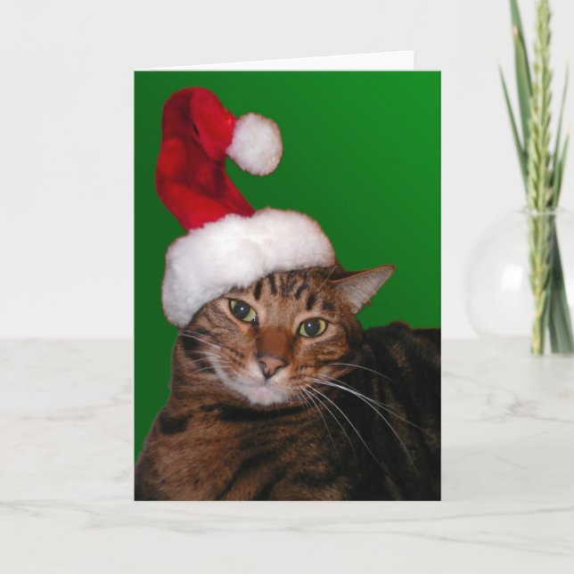 Mooki Santa - blank card (Front)