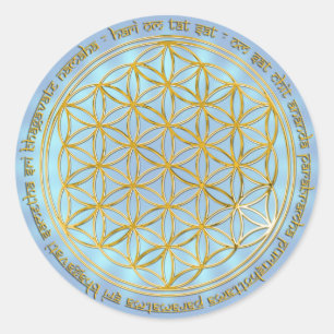 Moola Mantra / Fume Des Lives / blue radial BG Classic Round Sticker