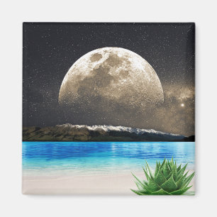 Moon And Beach Magnet