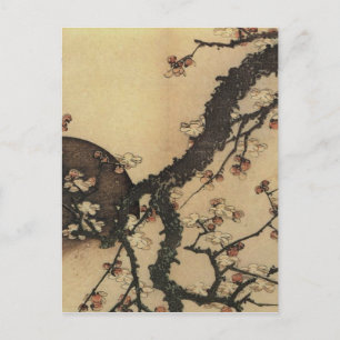 Moon and Flowers Postcard