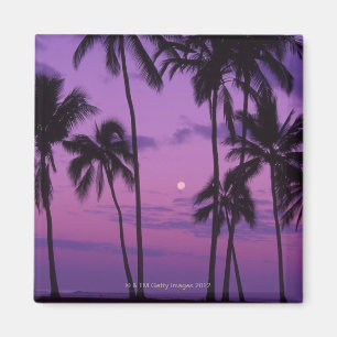 Moon and Palm Tree Magnet