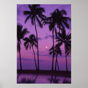 Moon and Palm Tree Poster