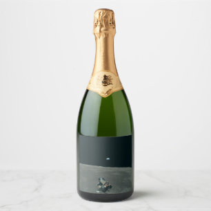 Moon Apollo NASA Lunar Lander and Earth Sparkling Wine Label