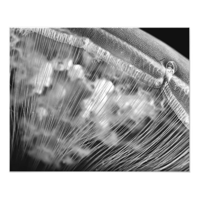 Moon Beads - Photo Enlargement (Front)