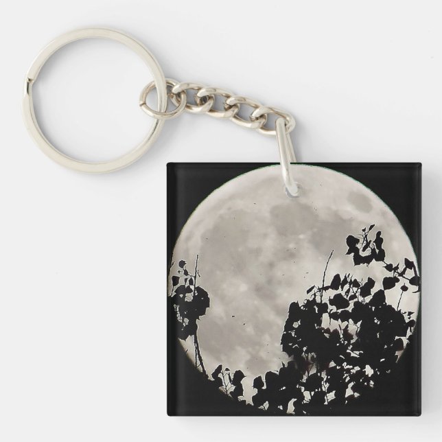 Moon behind dark leaves key ring (Front)