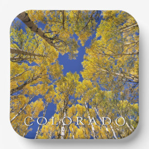 Moon Bridge & Pond in Winter   Seattle, Washington Paper Plate