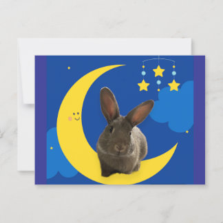 Moon Bunny Postcard