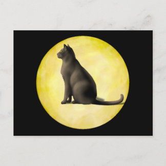 Moon Cat Postcard