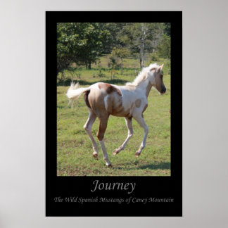 "Moon Dancer" poster - Journey