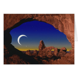 Moon Dream