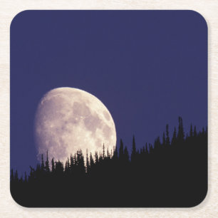 Moon & Forest Glacier National Park Montana Square Paper Coaster