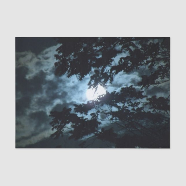 Moon Illuminates the Night behind Tree Branches Tissue Paper (Front)