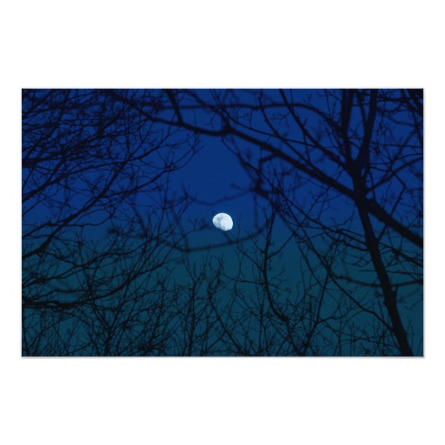 Moon in Ombre Indigo Sky Tree Branches Silhouette Photo Print (Front)