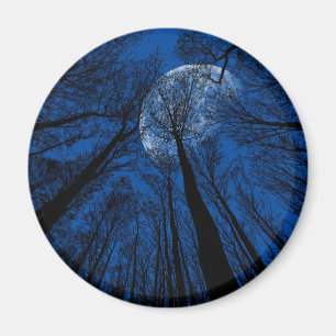Moon in the Night Sky Magnet