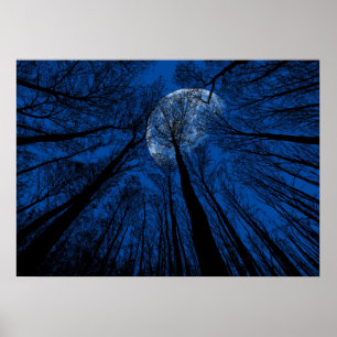 Moon in the Night Sky Poster