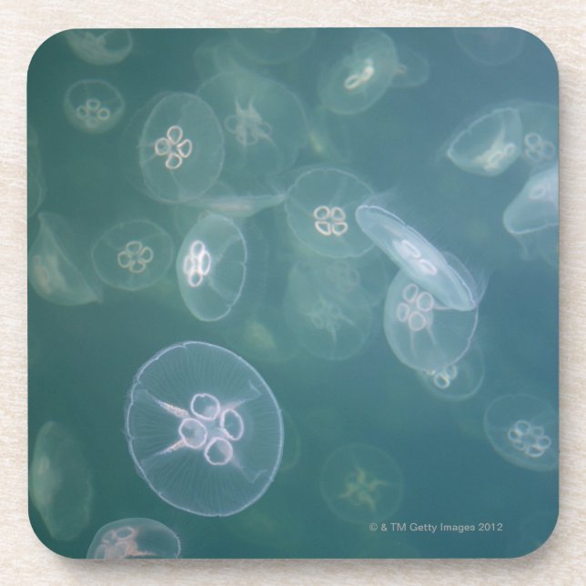 Moon jellyfish coaster (Front)