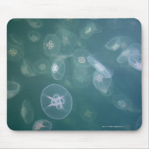 Moon jellyfish mouse mat