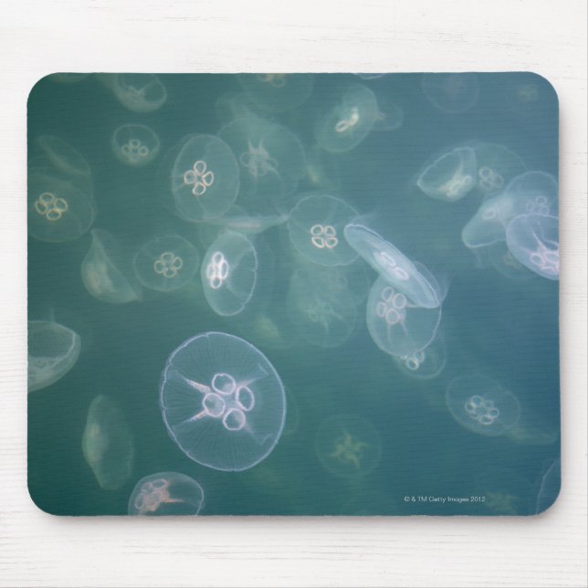 Moon jellyfish mouse mat (Front)