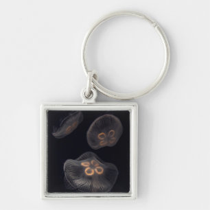 Moon Jellyfish Swimming Key Ring