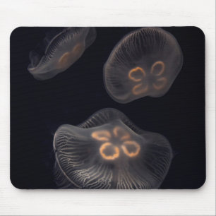 Moon Jellyfish Swimming Mouse Mat
