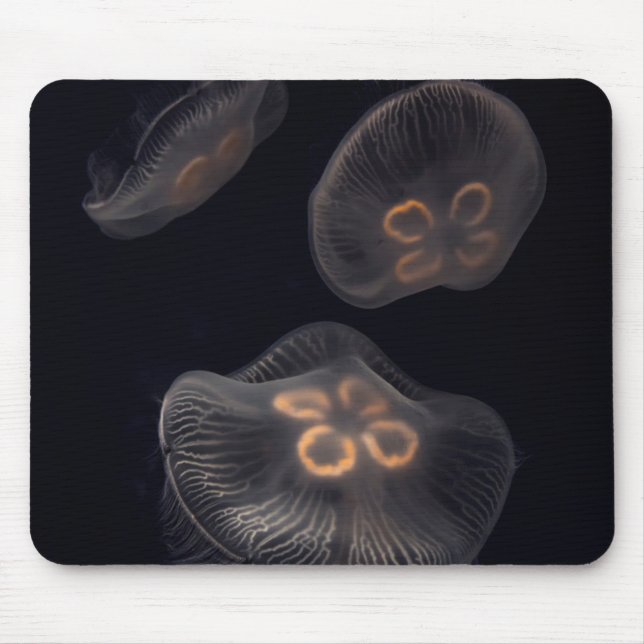 Moon Jellyfish Swimming Mouse Mat (Front)